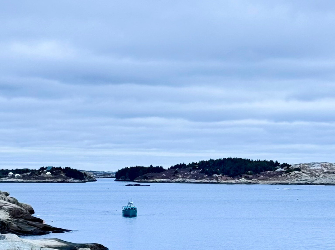 Polly's Cove Hiking Trail景点图片