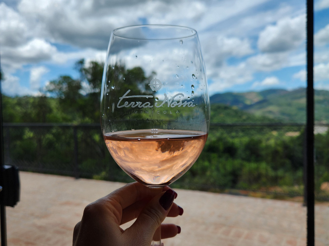 Vínicola Terra Nossa-Espirito Santo Do Pinhal必去景点