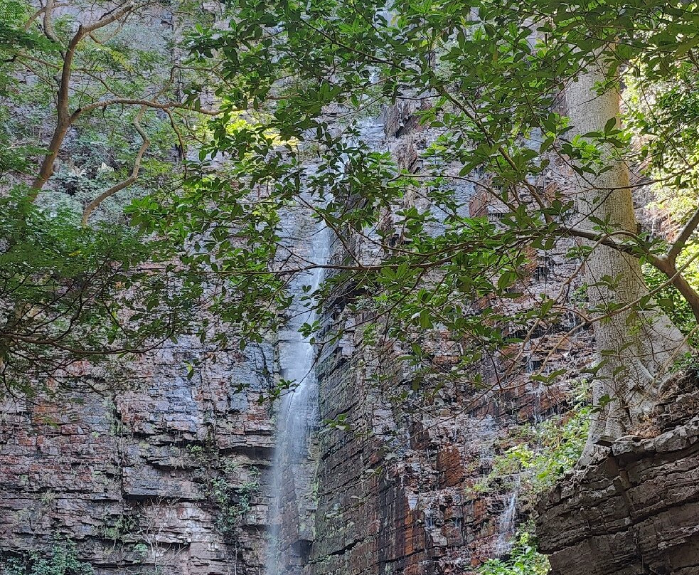 Reserve Naturelle Communautaire de Dindefelo-Kedougou必去景点