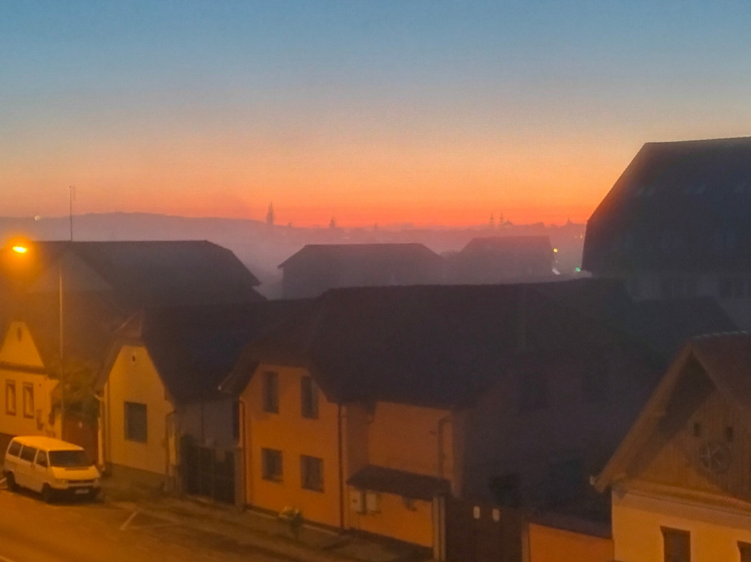 Pensiunea Belascu Sibiu主图