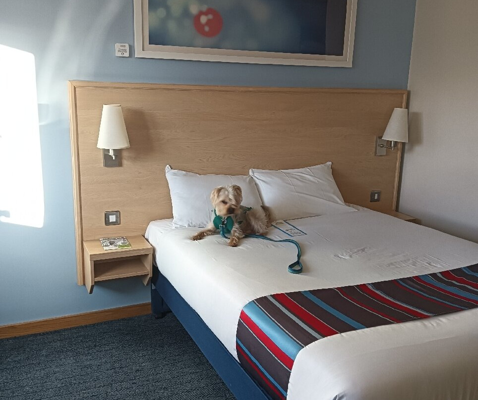 Travelodge Ludlow Hotel主图