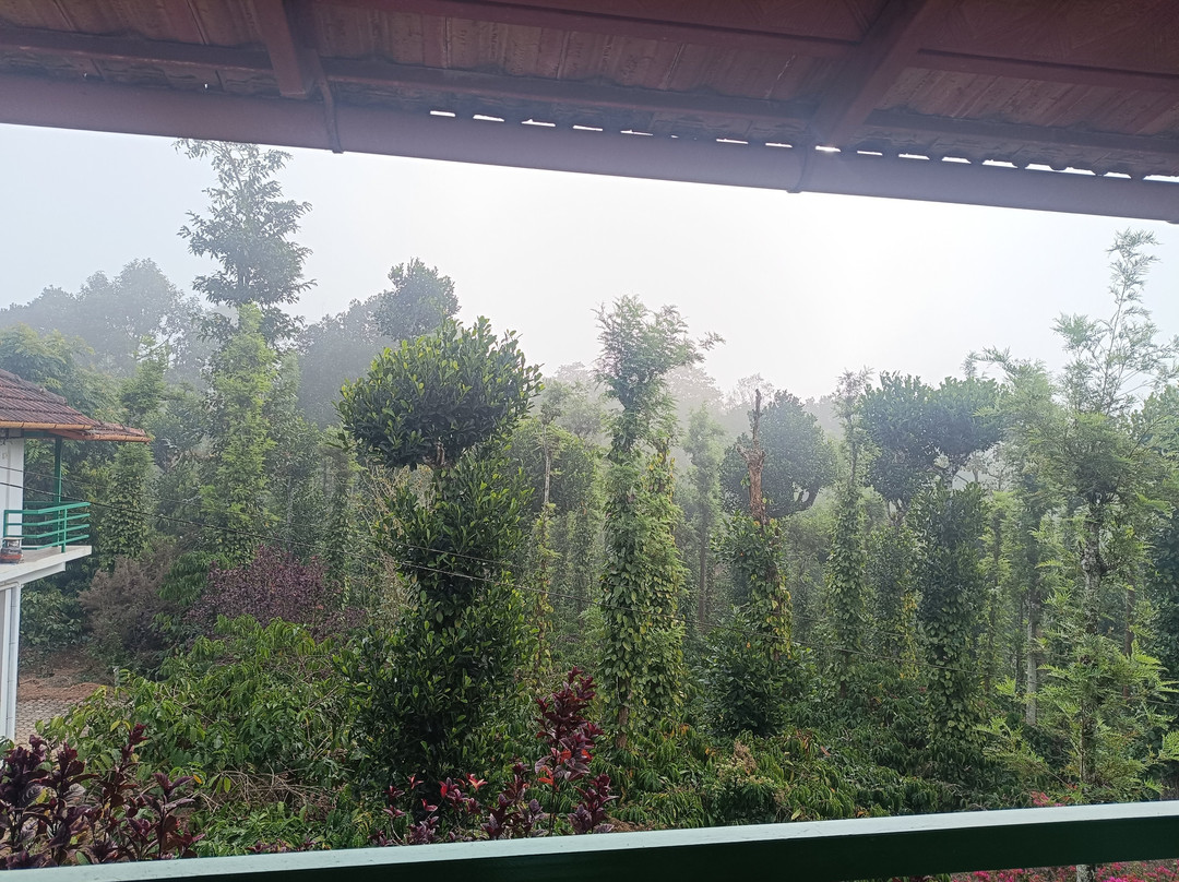 The Suvistara Wayanad主图