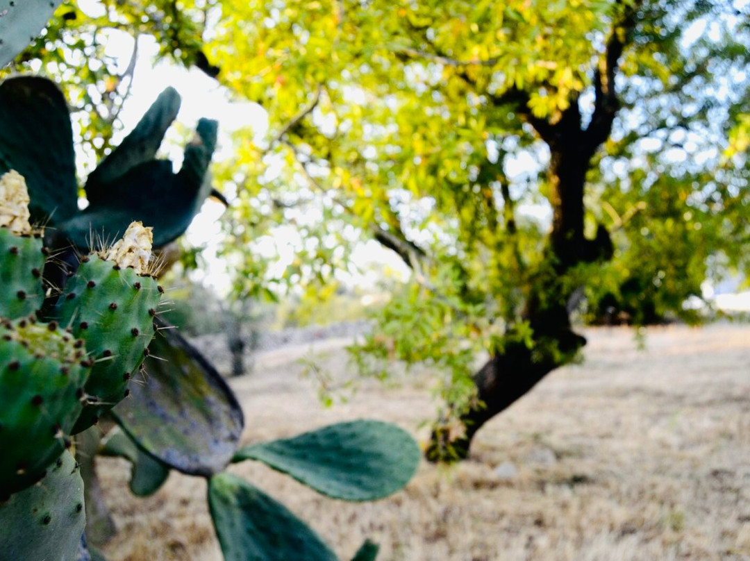 Tenuta Don Vittorio B&B主图