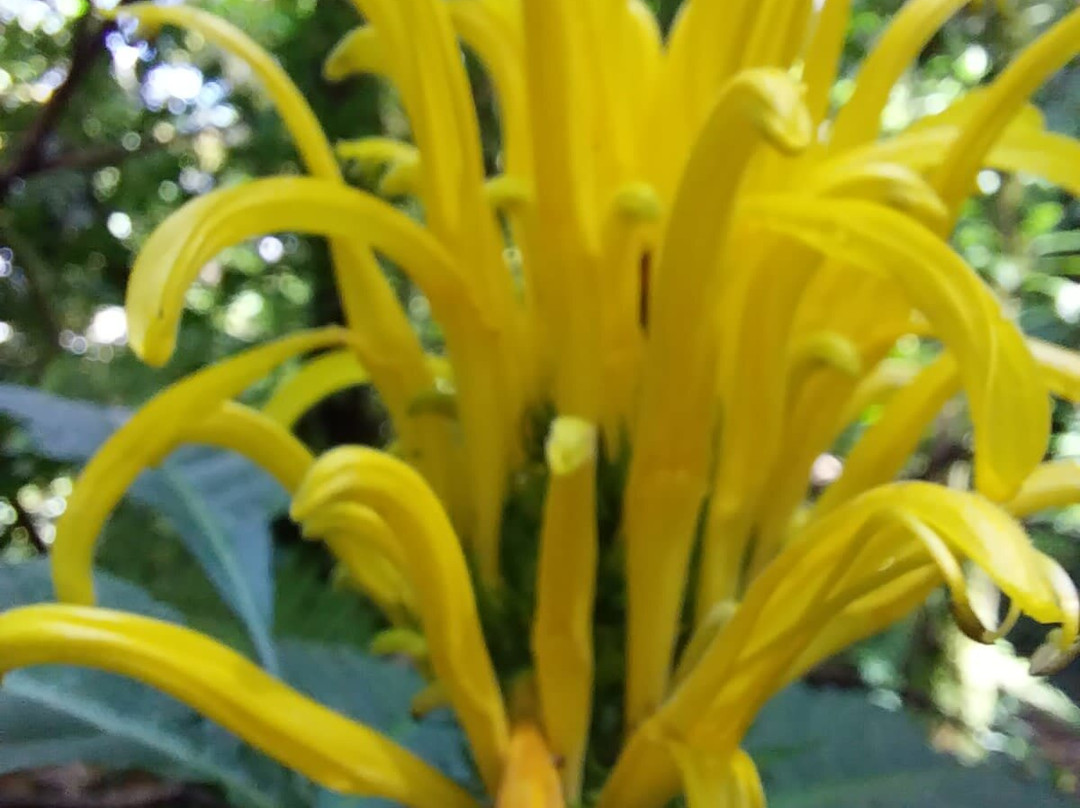 Johnny Loves Nature Eco Tours-蒙特沃德必去景点