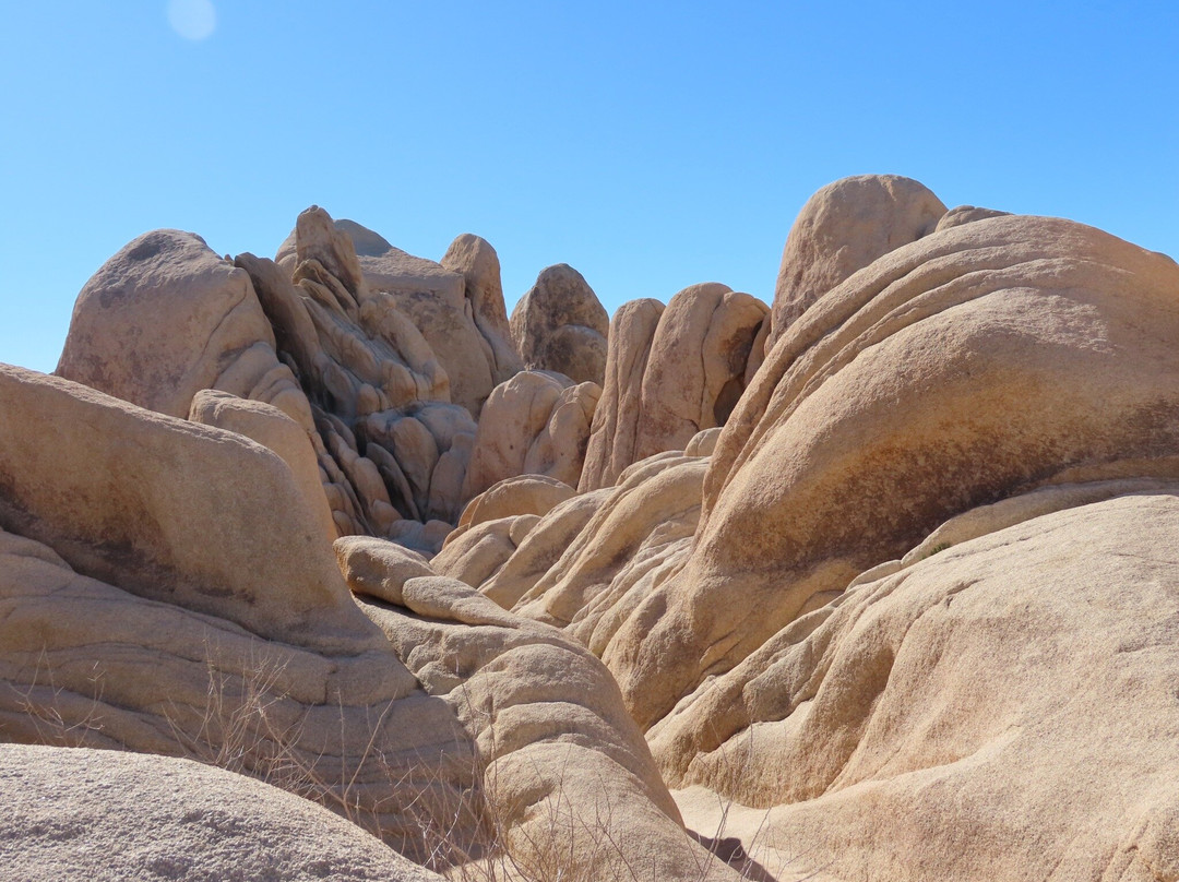 Arch Rock Nature Trail-约书亚树国家公园必去景点