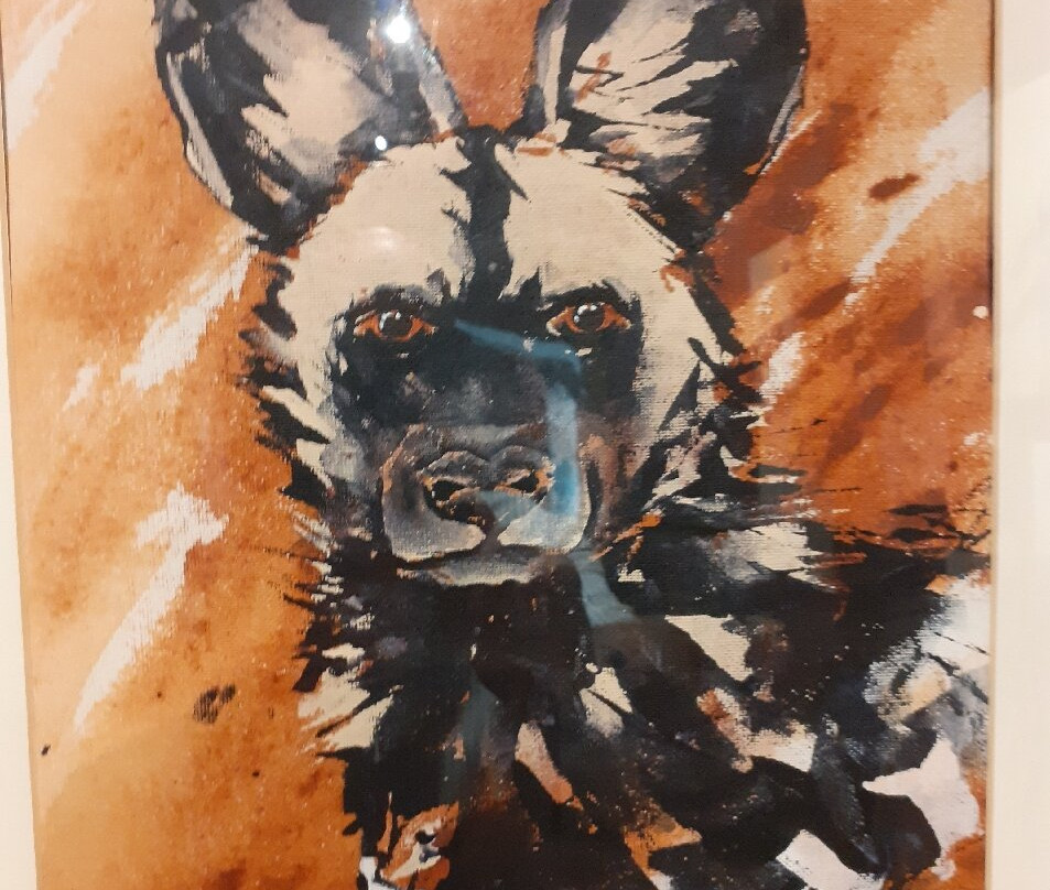 Painted Wolf Wines-帕尔必去景点