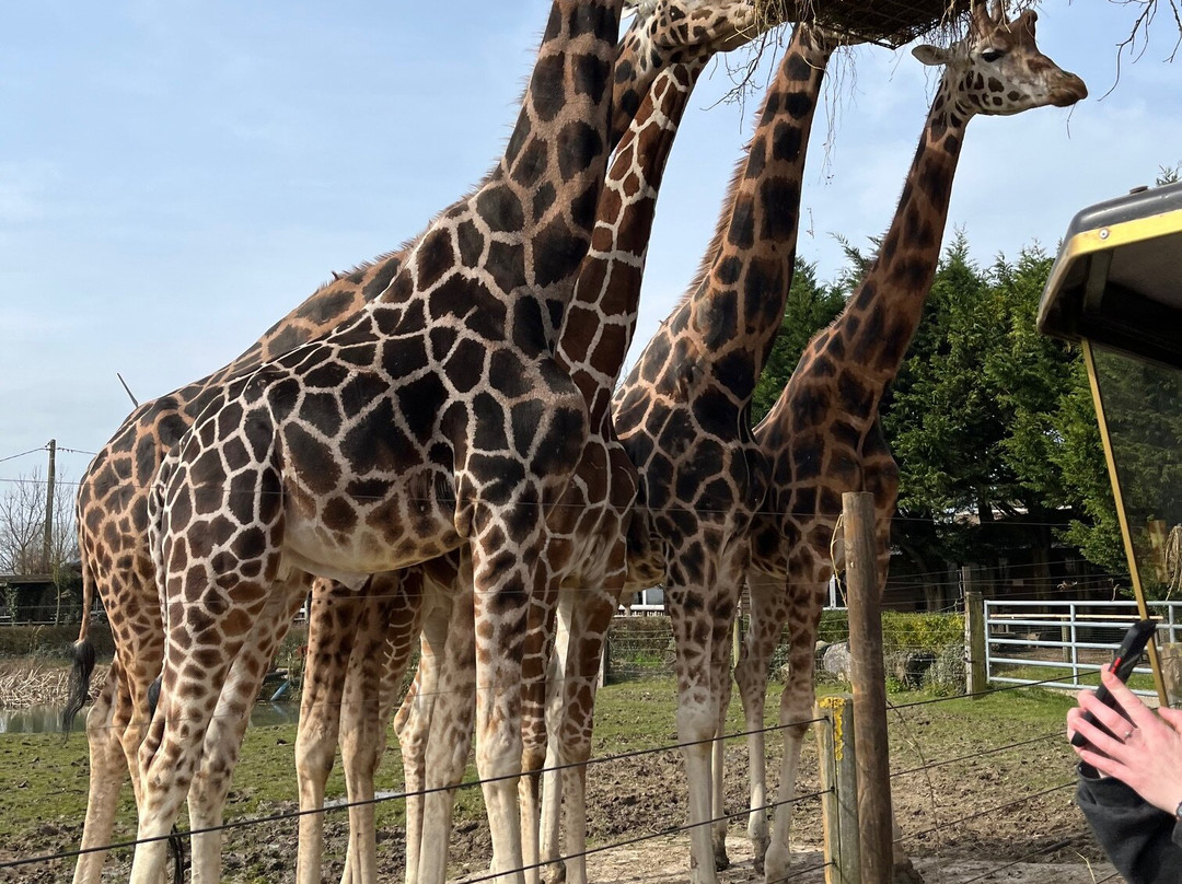 Zoo Cerza景点图片
