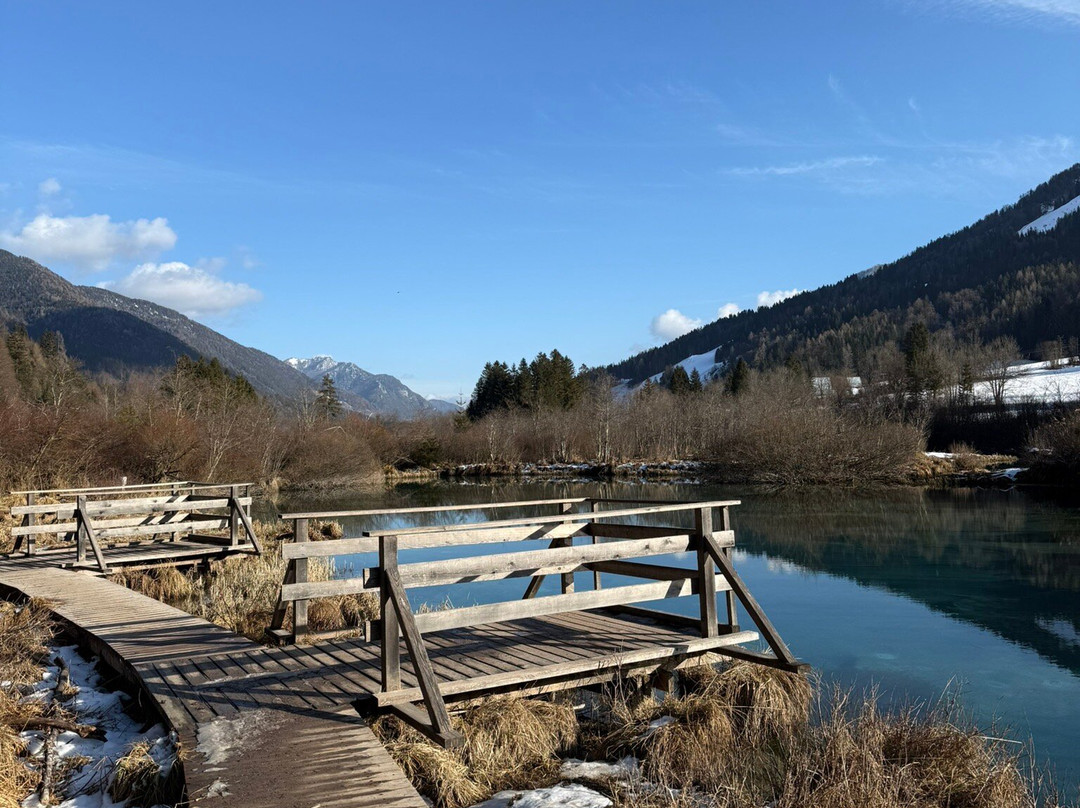 Zelenci Nature Reserve景点图片