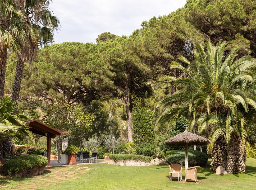 Hotel Sa Punta主图