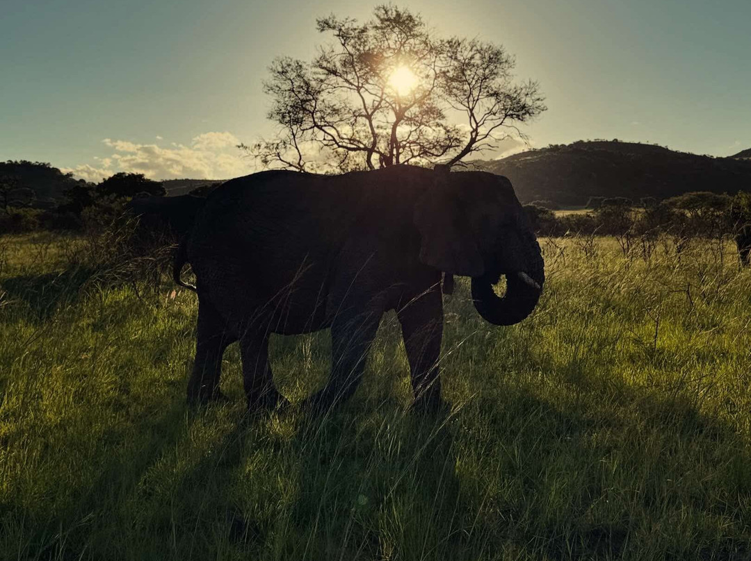 Nkomazi Game Reserve-巴德普拉斯必去景点