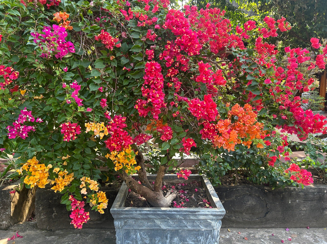 杰瑞丛林之旅-富国岛必去景点