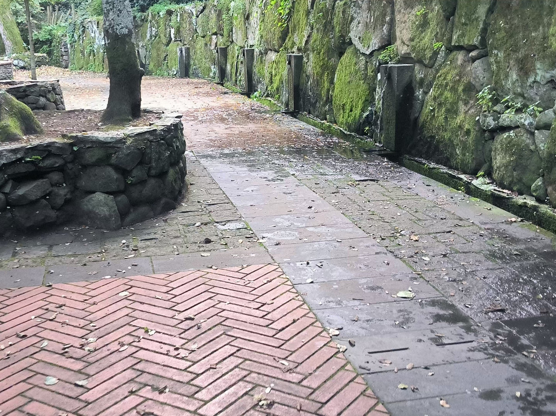 Parco di San Leonardo di Siete Fuentes-Santu Lussurgiu必去景点