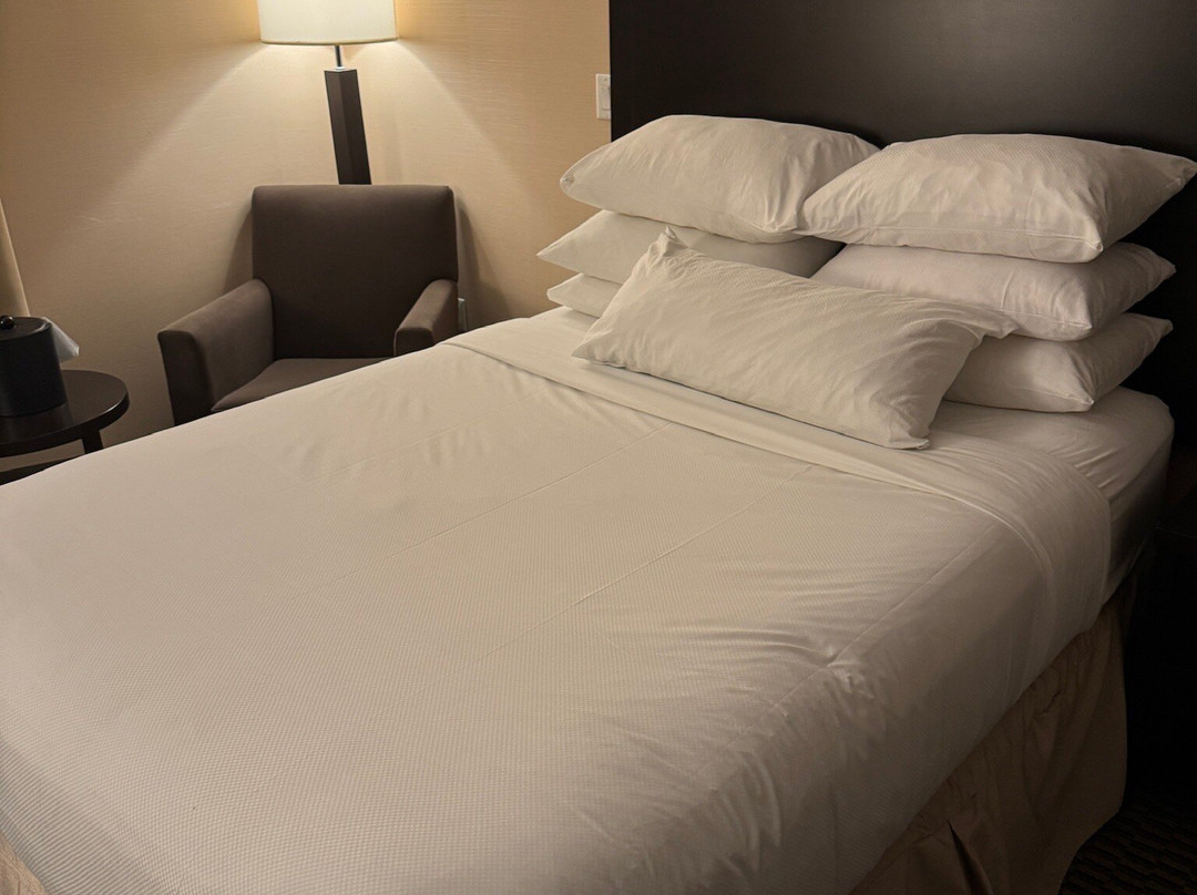 三角洲圭尔夫会议酒店主图