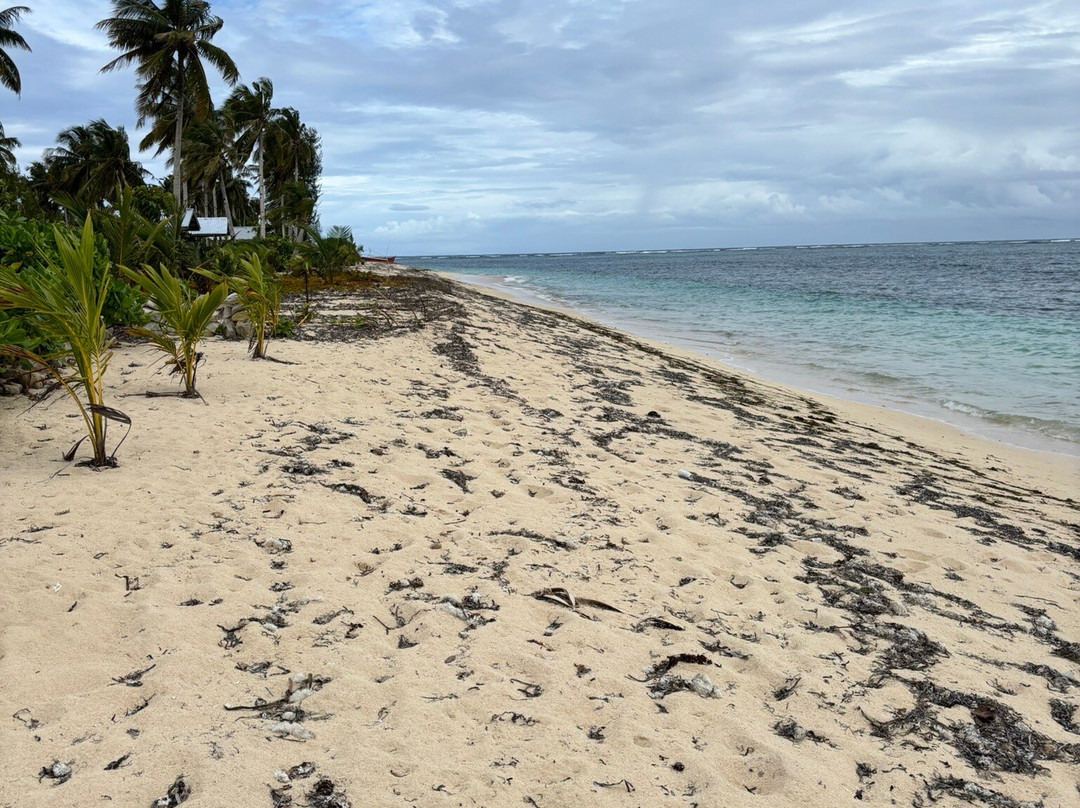 DaRosa Del Mar主图