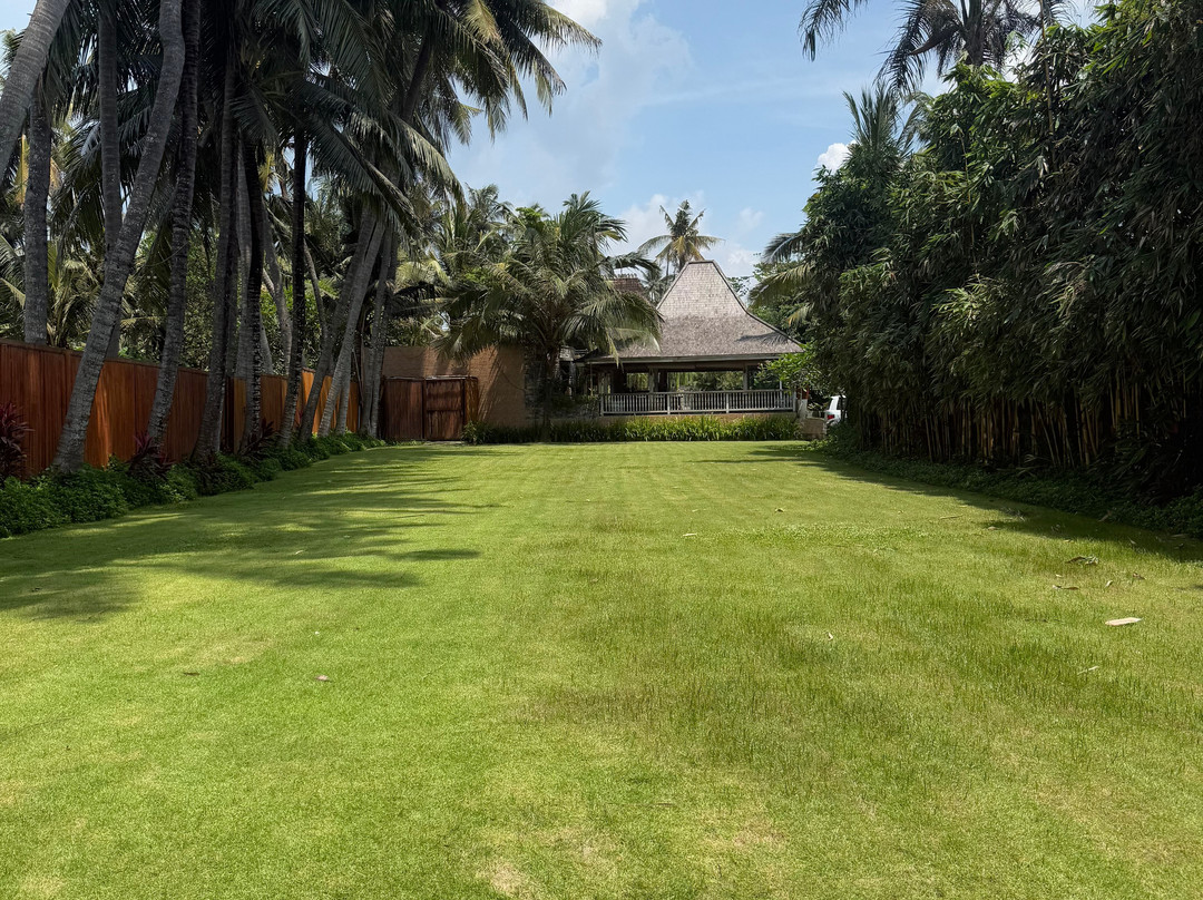 Kutus Kutus Estuary Saba Beach