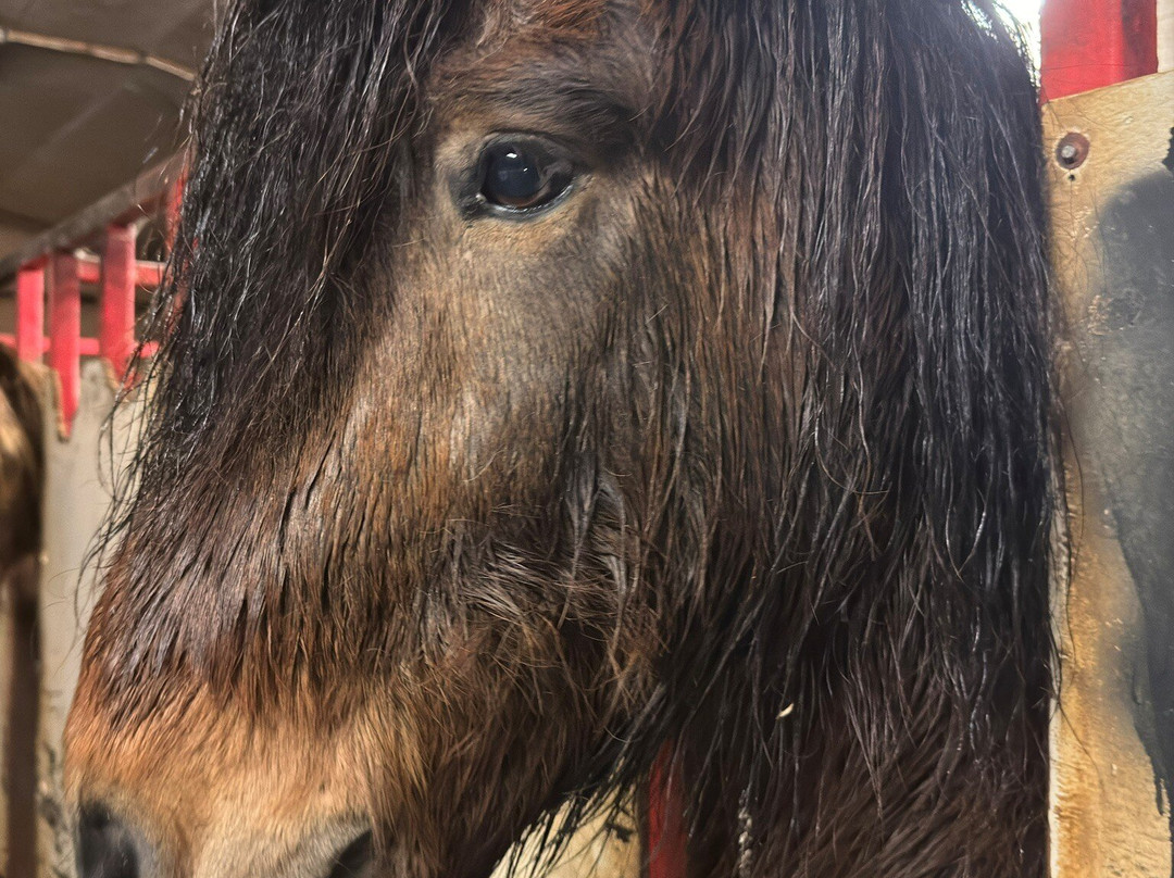 迪尼安蒂宾馆主图