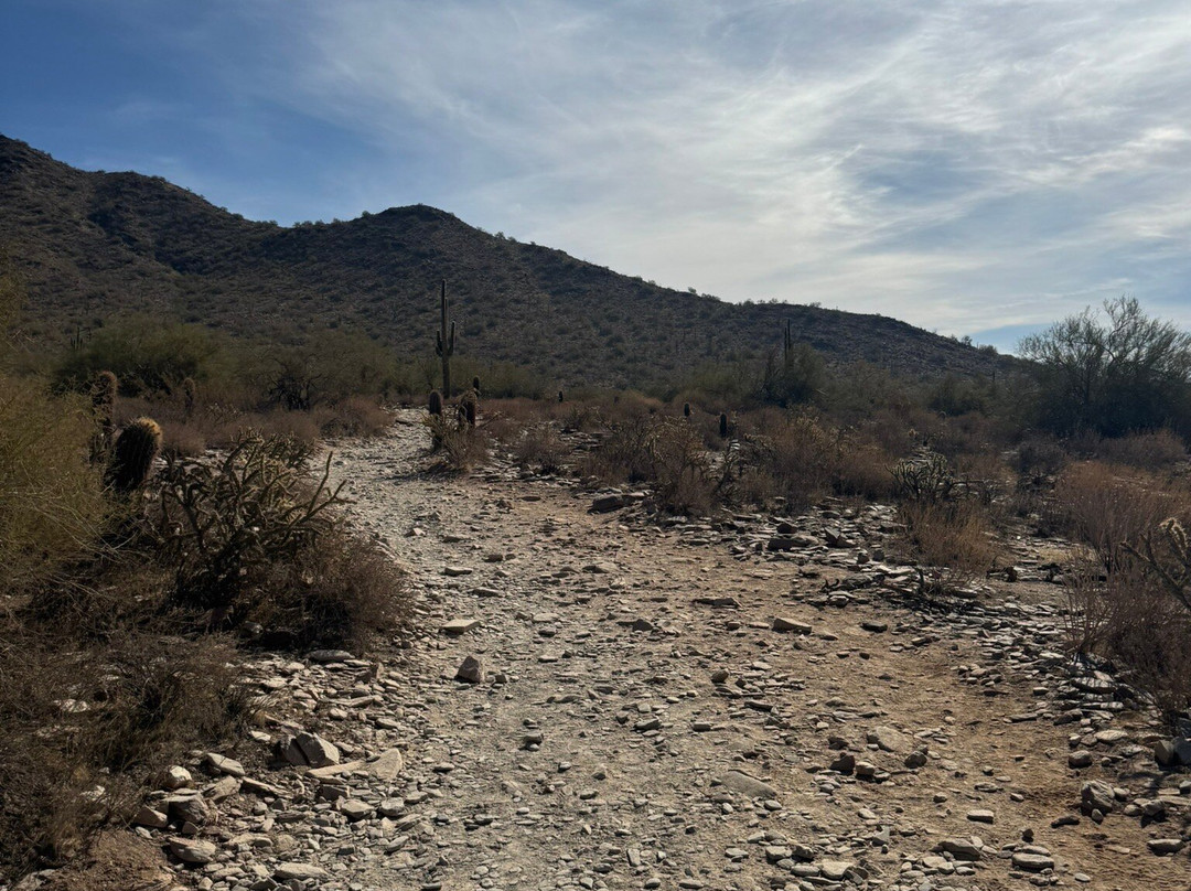 McDowell Sonoran Preserve-斯科茨代尔必去景点