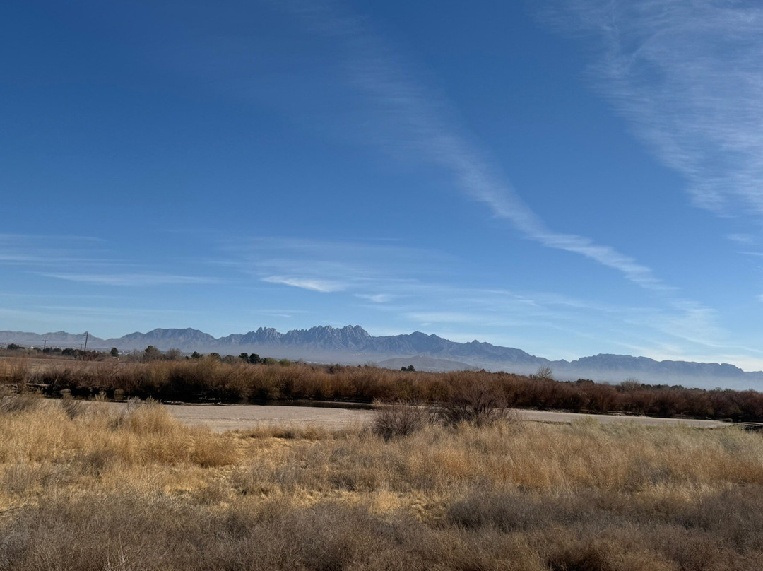 Mesilla Valley Bosque State Park-Mesilla必去景点