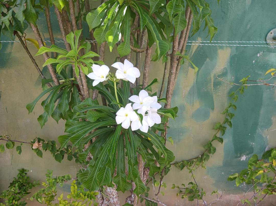 Hotel Pousada Rancho Fundo主图