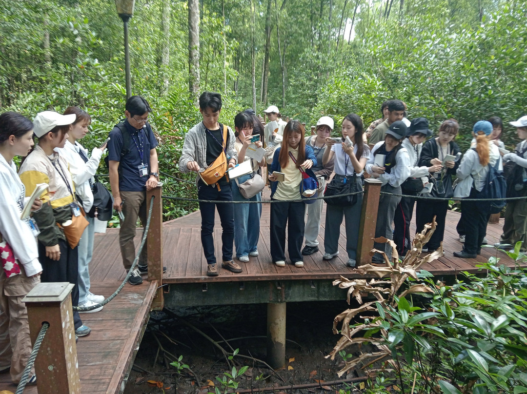 Boat Cruise Kuala Sepetang-Kuala Sepetang必去景点