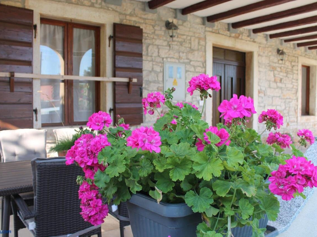 Rooms Braida