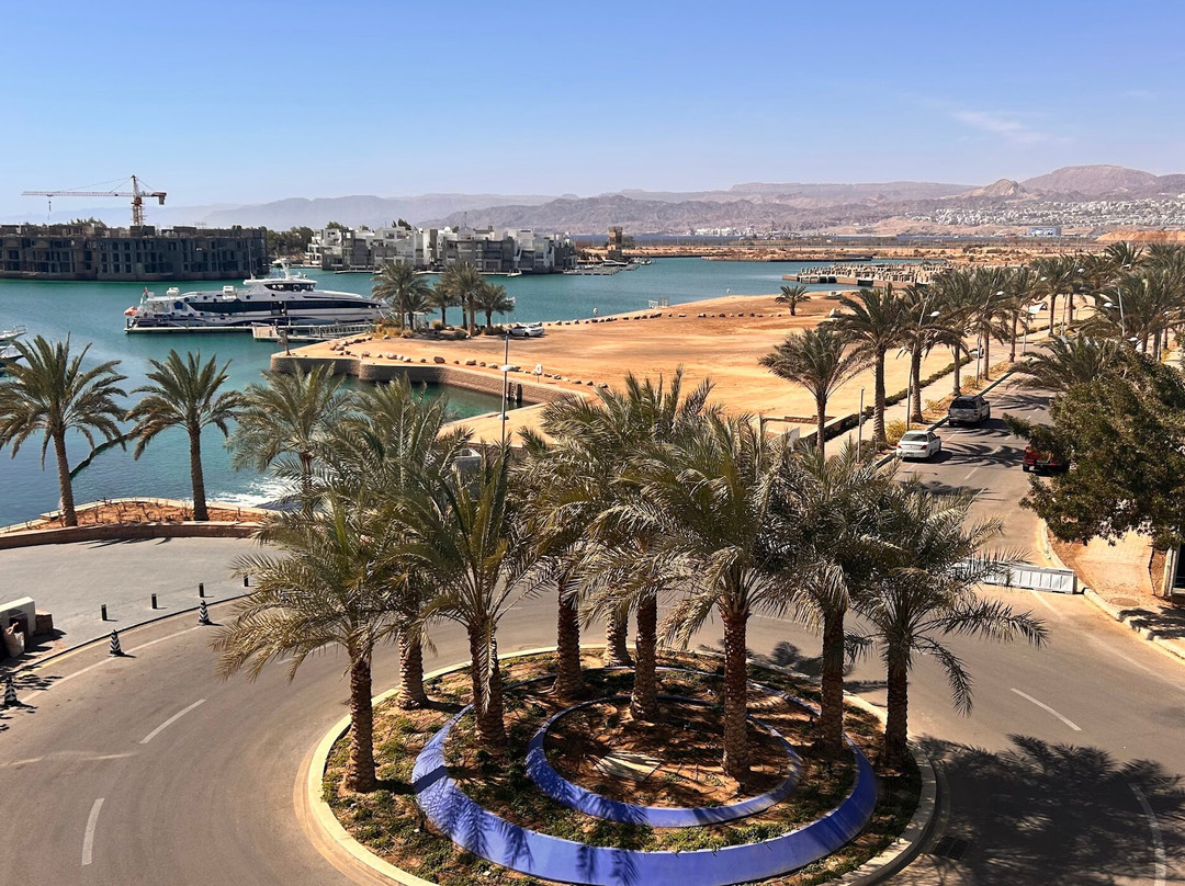 Hyatt Regency Aqaba Ayla Resort主图