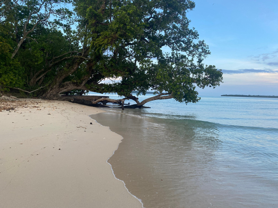 Lope Lope Beach Bungalows