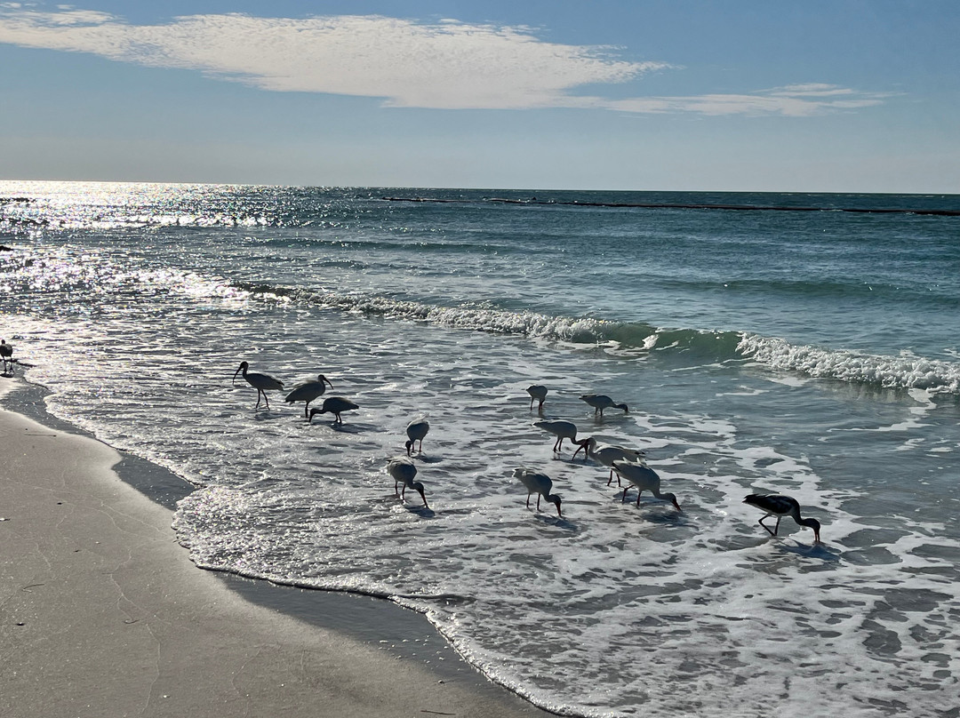 Longboat Key Beach-长船礁必去景点