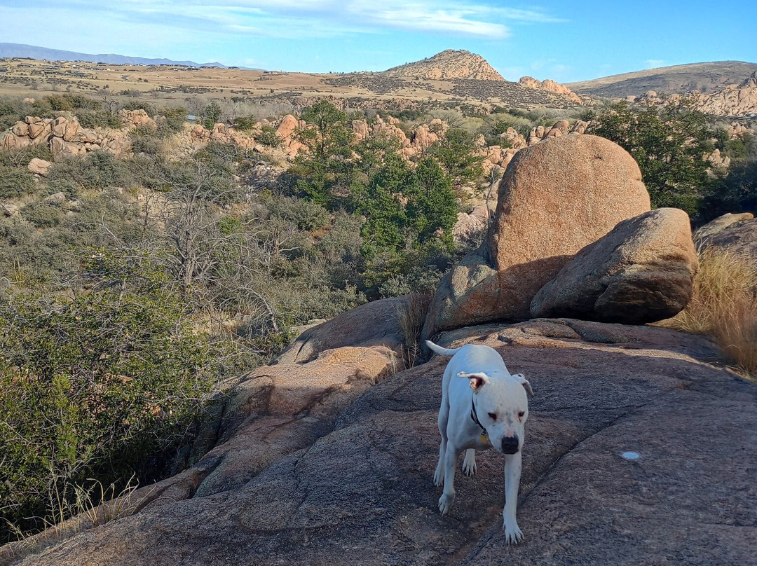 Constellation Trails-普雷斯科特必去景点