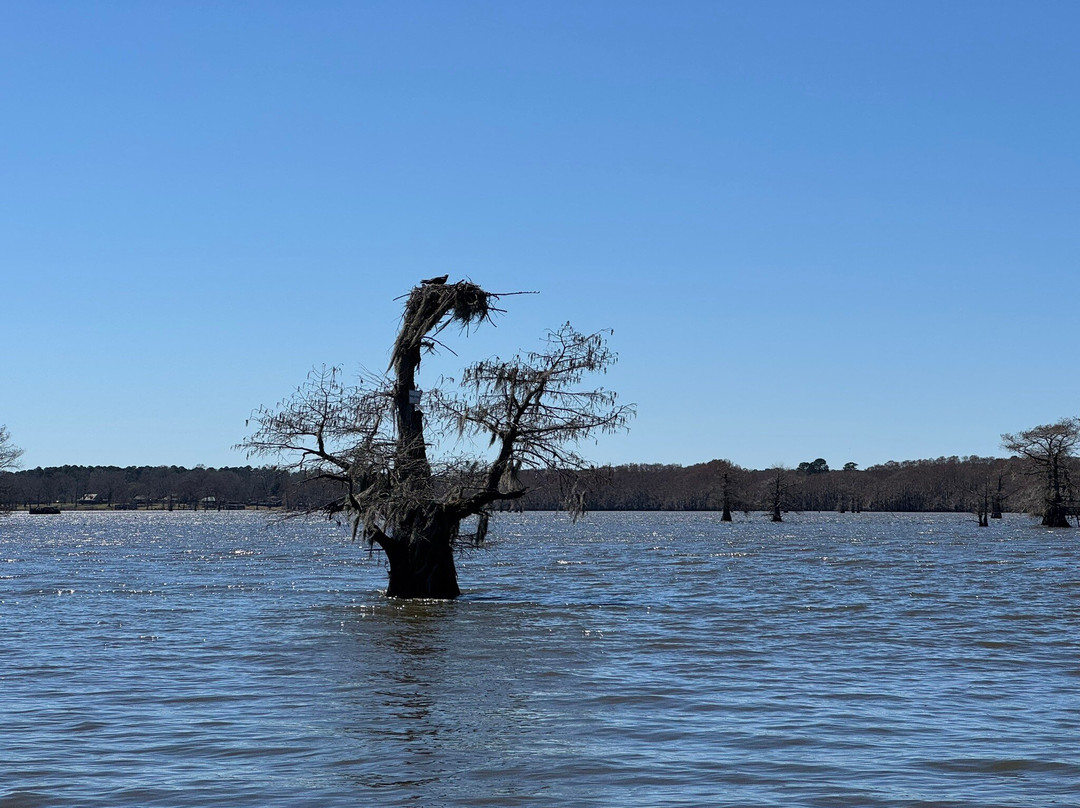 Mossy Brake Camp Swamp Tours-Karnack必去景点