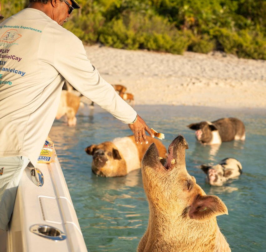 3N's Exuma Vacations景点图片