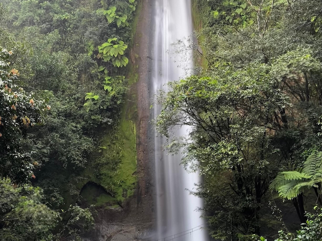Parque De Aventura Eco Musas景点图片