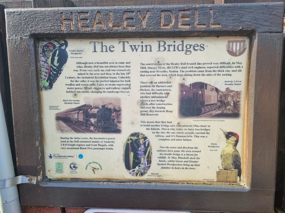 Healey Dell Nature Reserve景点图片