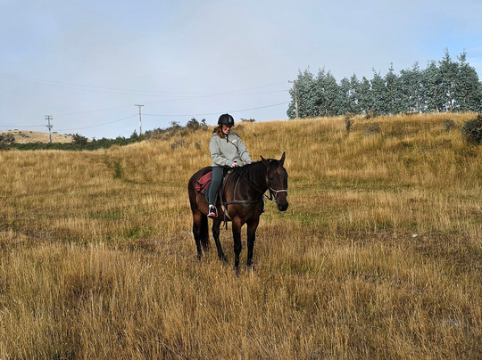 Westray Adventures - Horse Treks & Quad Tours-蒂阿瑙必去景点