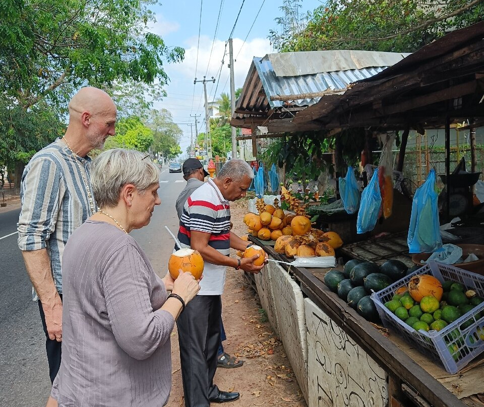 Fernando Tours Sri Lanka景点图片