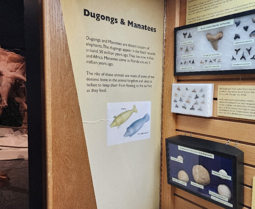 奥兰多科学中心-奥兰多必去景点