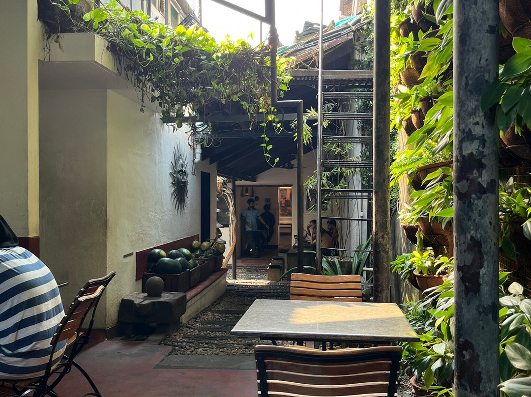 Kashi Art Gallery景点图片