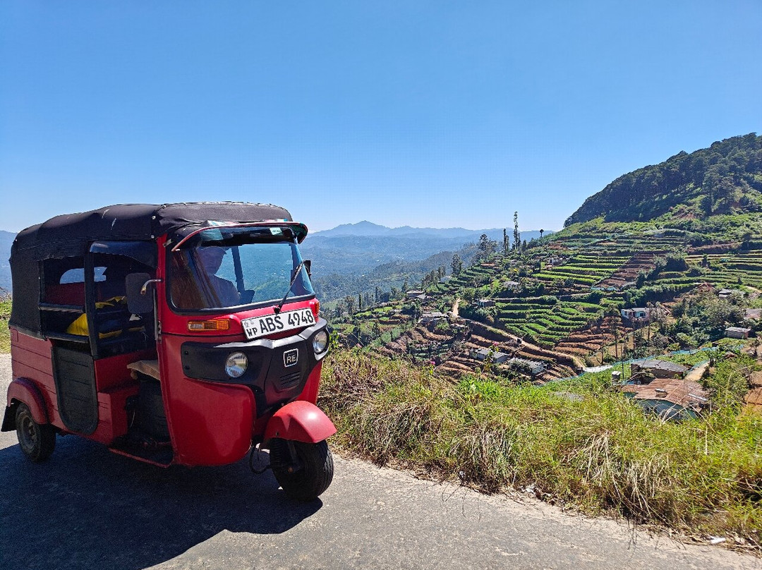 Tuk Tuk Rental Negombo景点图片