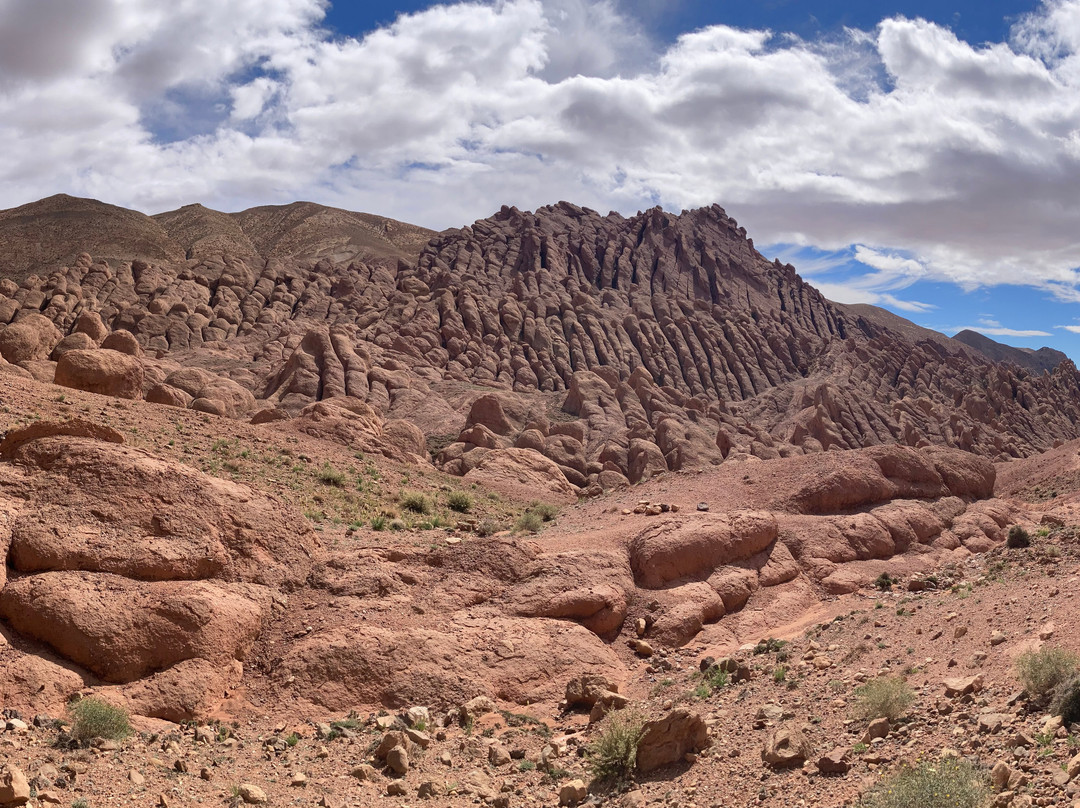 Morocco Nature Trails景点图片