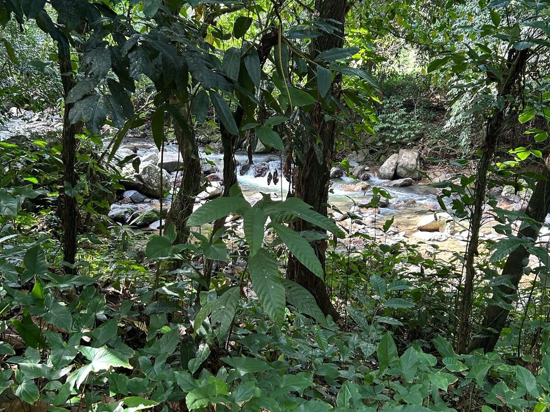 Los Saltos de Jima-Bonao必去景点