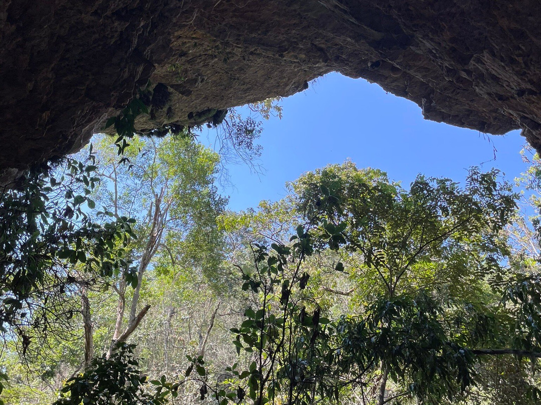 Parque Estadual Mata do Limoeiro景点图片
