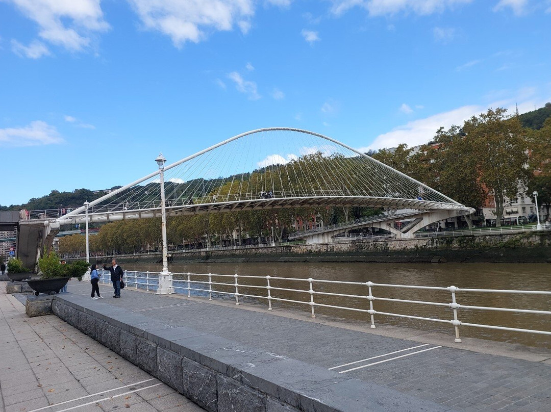 Puente Zubizuri景点图片