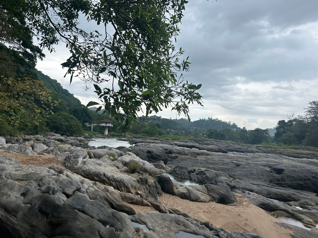Private Tour Driver Sri Lanka景点图片