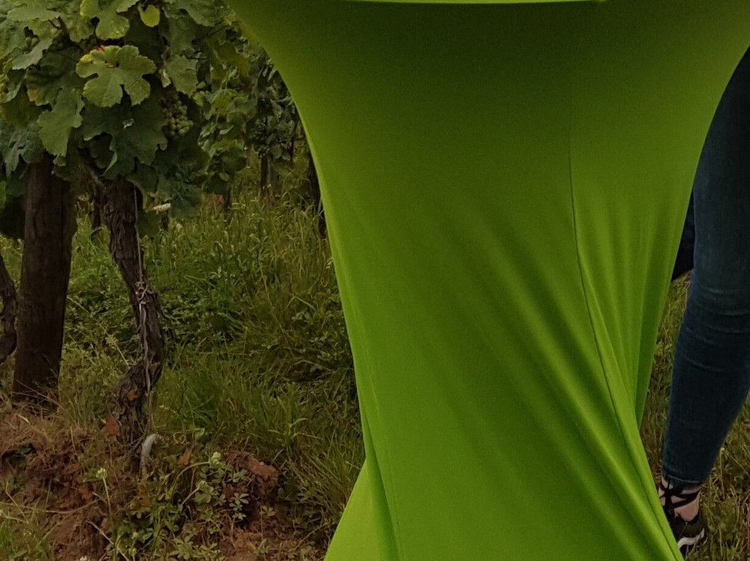 Domaine Marcel Freyburger景点图片