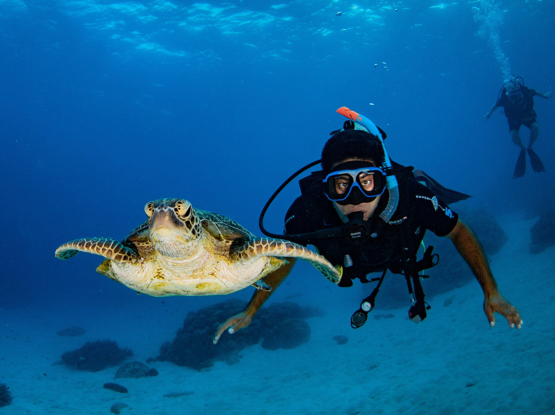 Tobago Dive Experience-Speyside必去景点