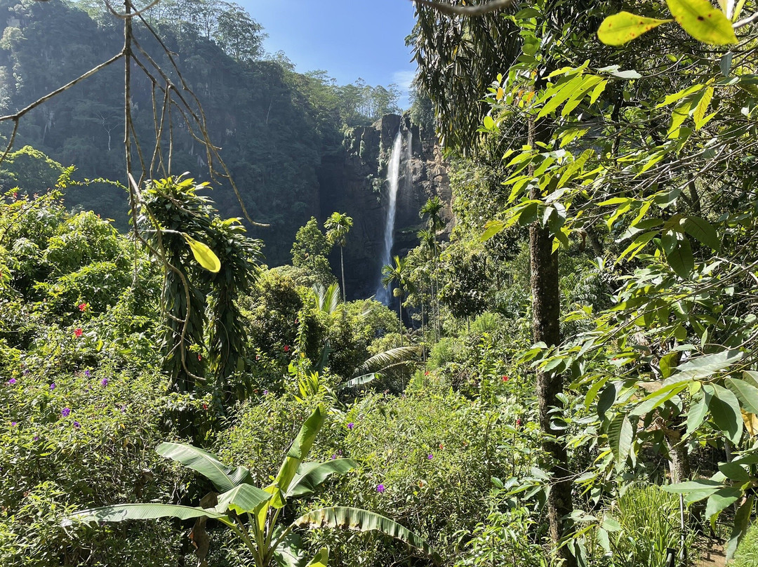 Downhill Mtb-Kitulgala必去景点