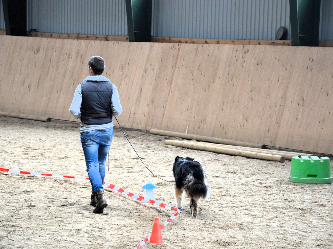 Landhotel Rehedyk主图