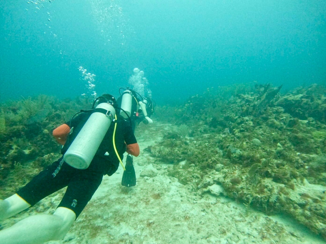 King Scuba Dive Center-从莫雷洛斯港必去景点
