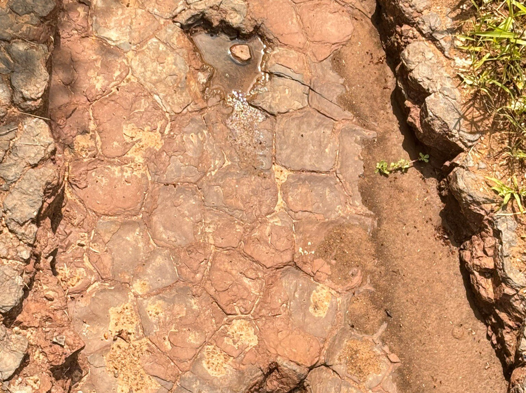 Valley of the Dinosaurs-Sousa必去景点