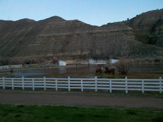 Strawberry River Bed & Breakfast主图